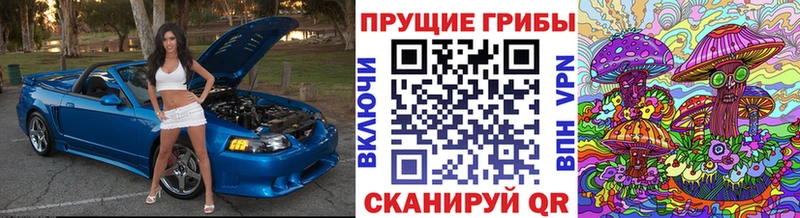 Галлюциногенные грибы GOLDEN TEACHER  Канск 